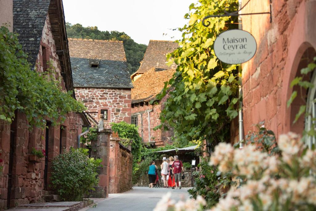 Les Gites Du Gauliat Espartignac 외부 사진